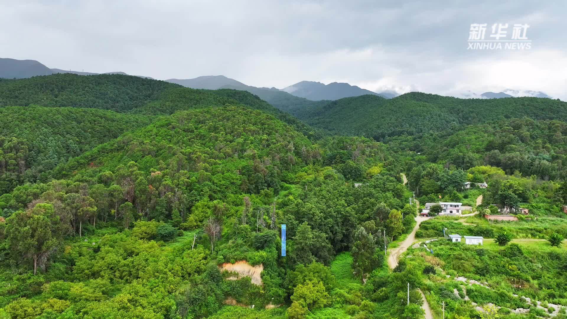 8月劝返1500余人：大理全链条治理违规进入苍山
