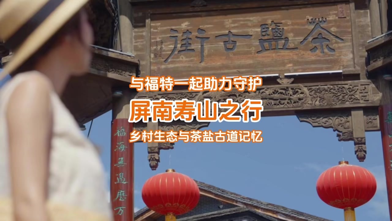 屏南寿山之行：与福特一起助力守护乡村生态与茶盐古道记忆