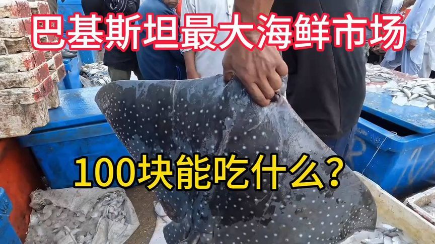 在巴基斯坦最大海鲜市场！100块都能吃什么？挑战吃玛莎魔鬼鱼