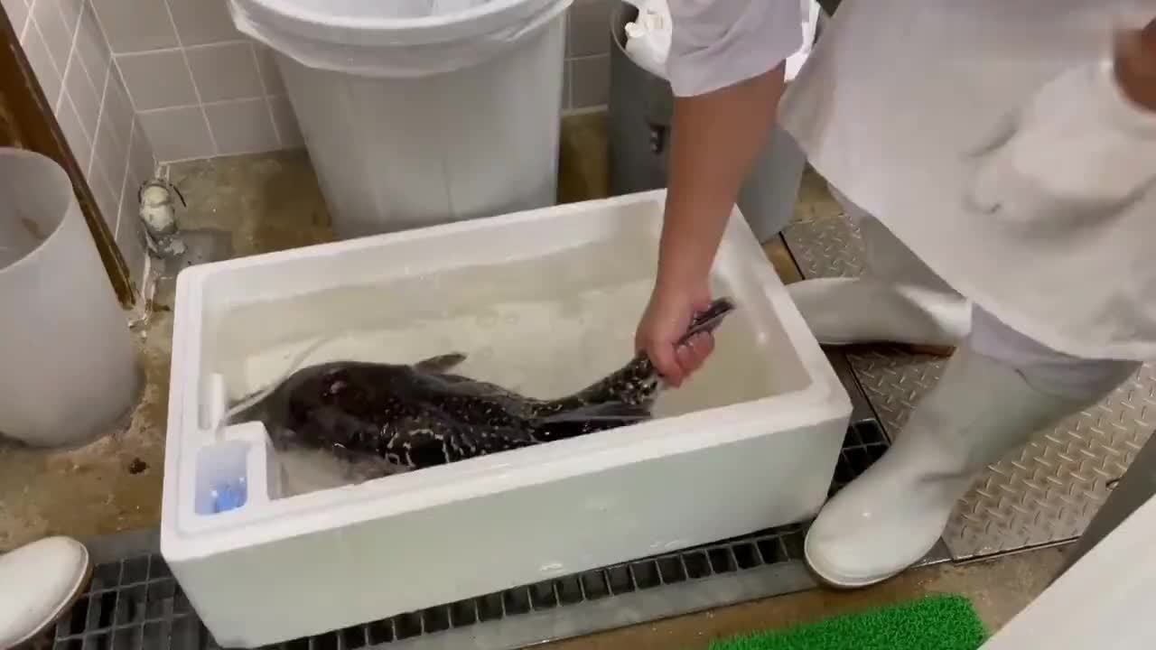 大厨切巨型河豚，一刀切掉鱼嘴，再反手剥皮，3分钟变薄片太牛