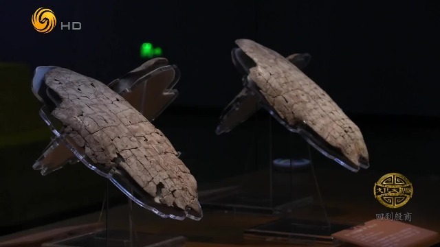 解密甲骨文，一窥商王子的成长经历