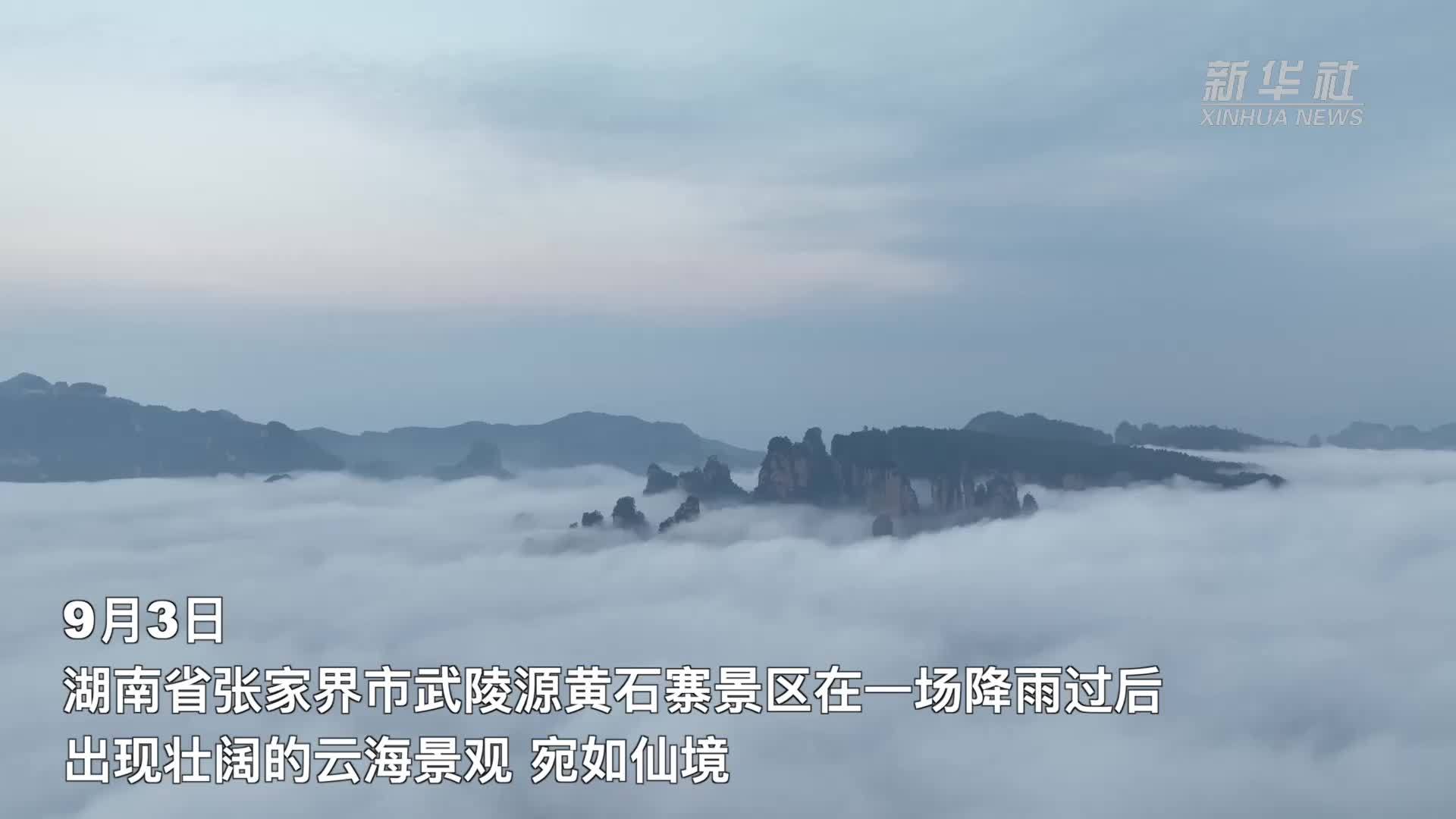 湖南张家界：雨后云海壮美如画