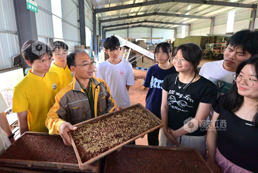 萍鄉市湘東中等專業學校的學生們在育秧大棚里，傾聽戴中華講解如何智慧育秧。