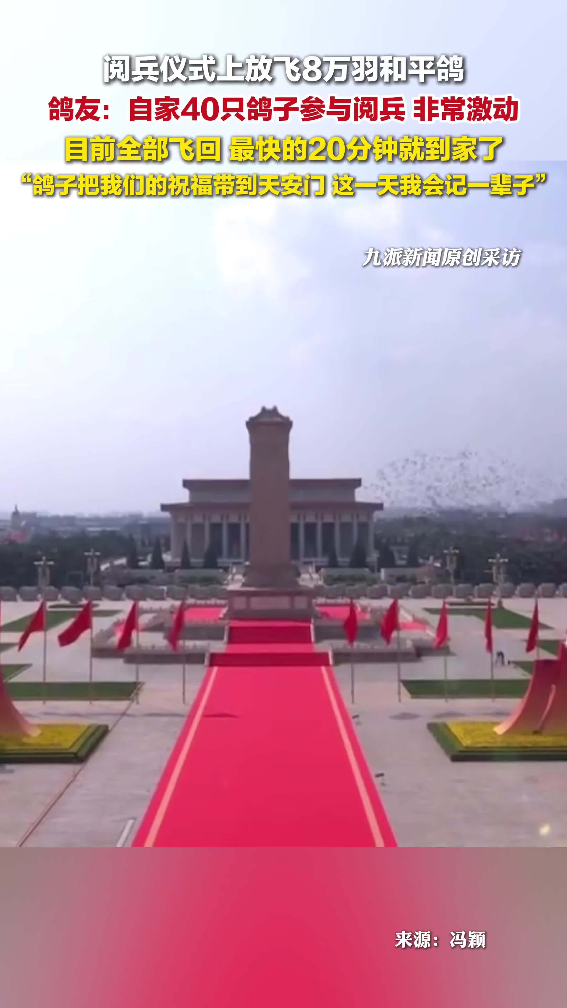 阅兵仪式放飞的和平鸽陆续到家，鸽友：自家40只鸽子参与阅兵，最快的20分钟就到家了