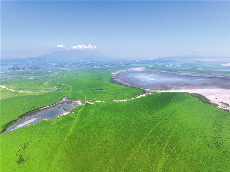 鄱阳湖喊“渴”（图）