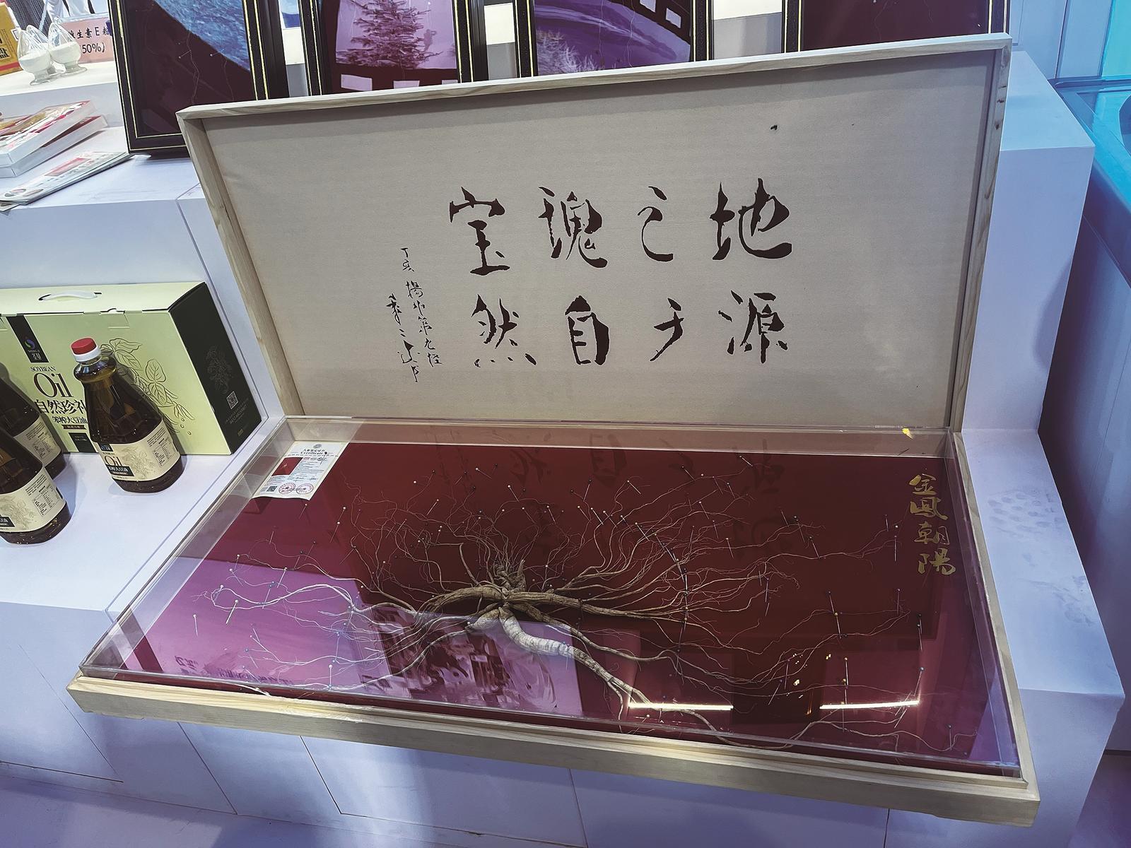 百年人参亮相东北亚博览会。张添奥　摄