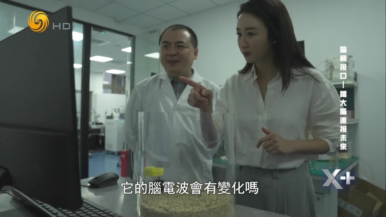 脑机接口技术在试验上的进展如何？对话脑虎科技创始人陶虎