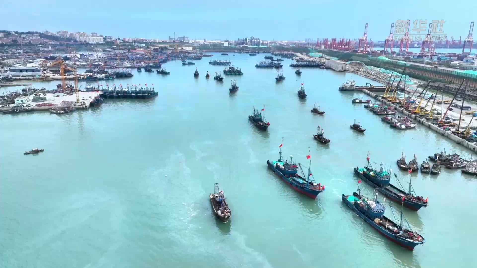 山东岚山：千余条渔船扬帆出征今秋“第一网鲜”