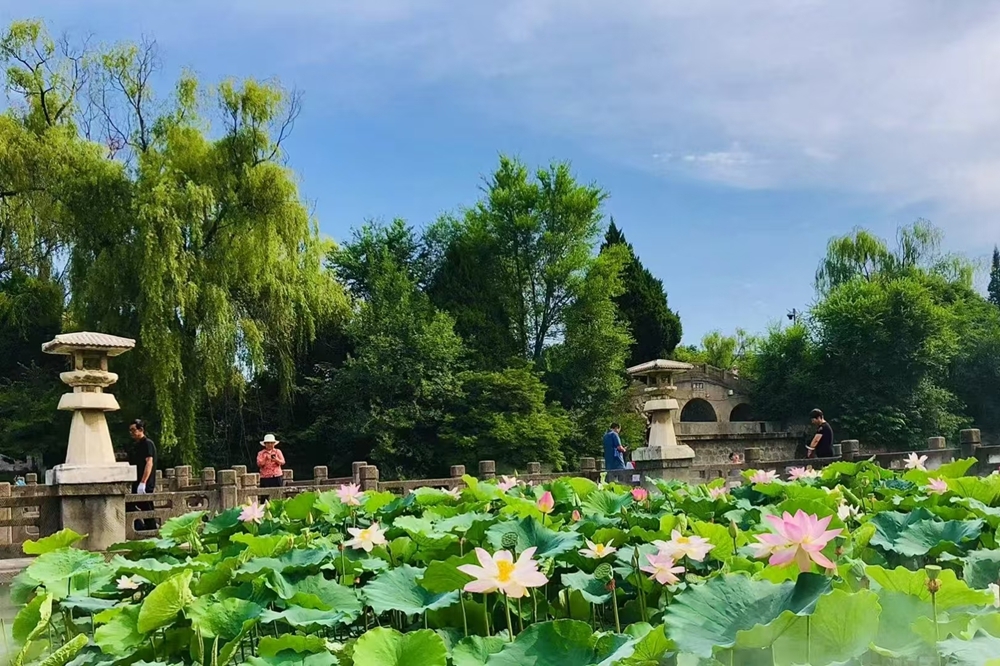 宝鸡市凤翔区“十四五”发展:11项指标超额完成 六大领域实现突破