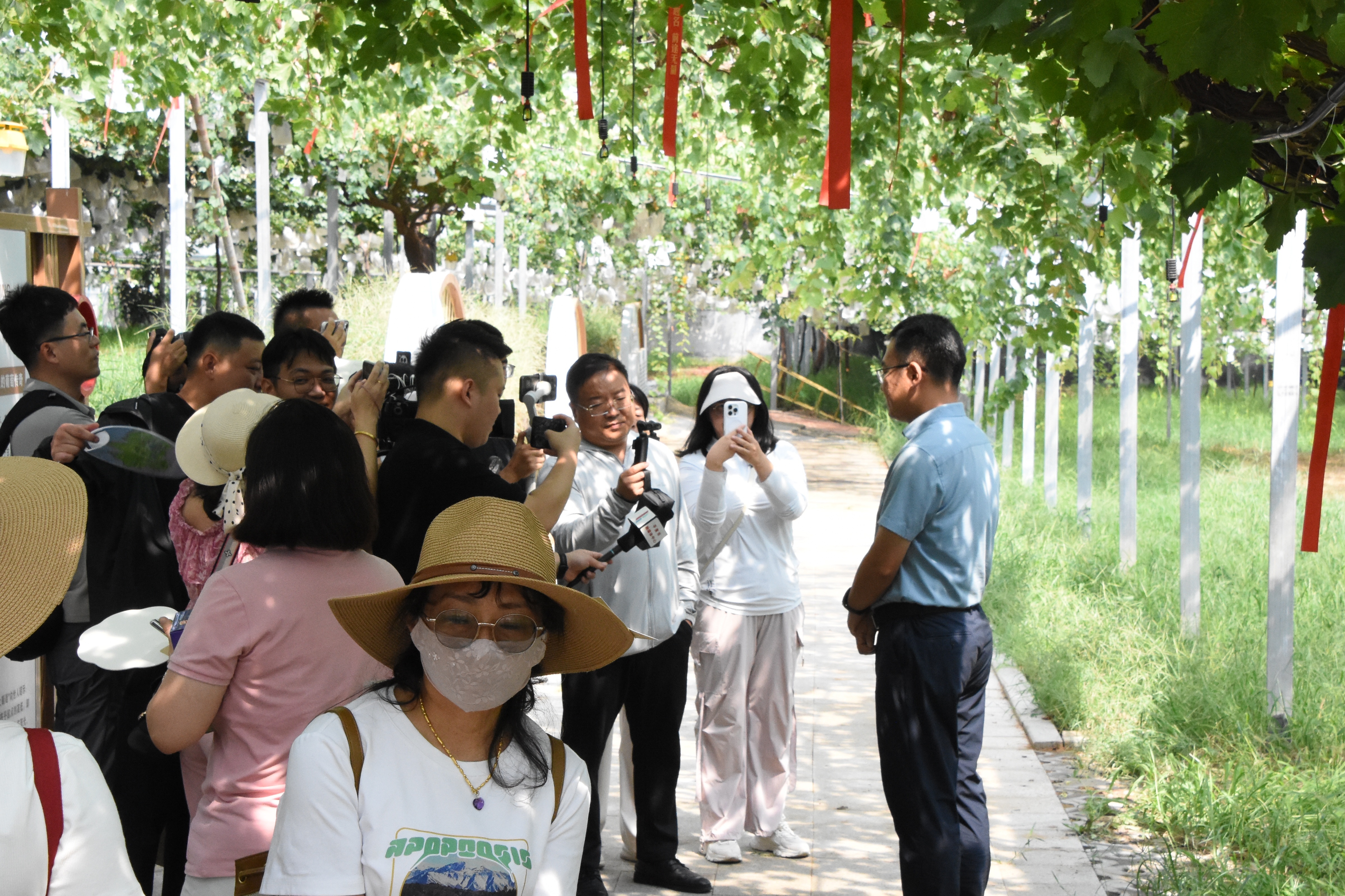葡萄树下话振兴 ！第39届中国&middot;大泽山葡萄节将于9月6日盛大启幕