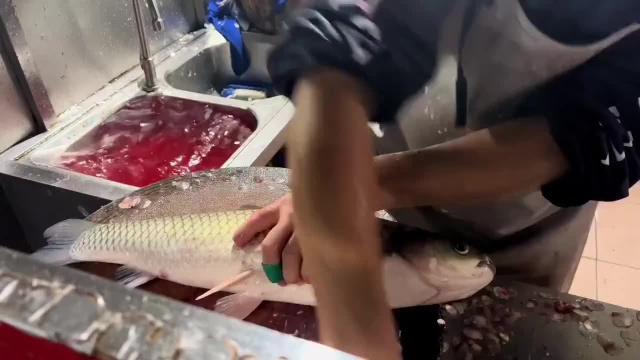 横县鱼生大赛金刀奖得主操刀草鱼，刀光闪过，鱼肉片薄如纸