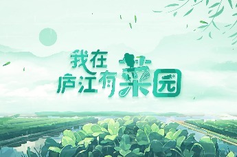 安徽庐江：把田园梦想搬进现实！“我在庐江有菜园”开园盛典来袭