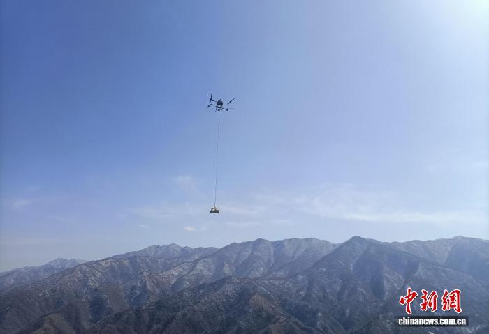 甘肃陇南市康县岸门口镇张家河村无人机吊运蜜环菌　唐亚春　摄