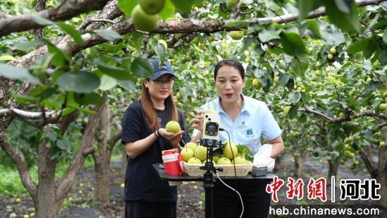 图为电商团队正在进行销售。 傅自胜 摄
