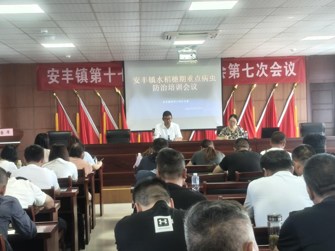 江苏省东台市安丰镇:一着不让,力夺秋粮优质高产