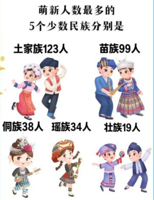 长沙师范学院萌新少数民族分布情况。