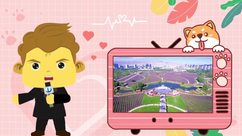 金娃娃说事丨七夕仪式感在紫金花海拉满