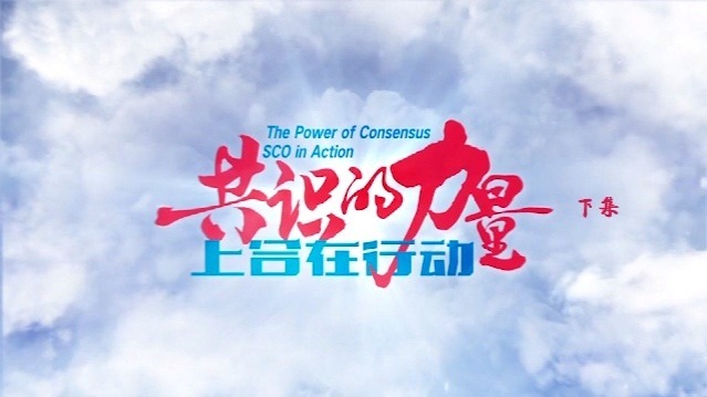 共识的力量：上合在行动（下）