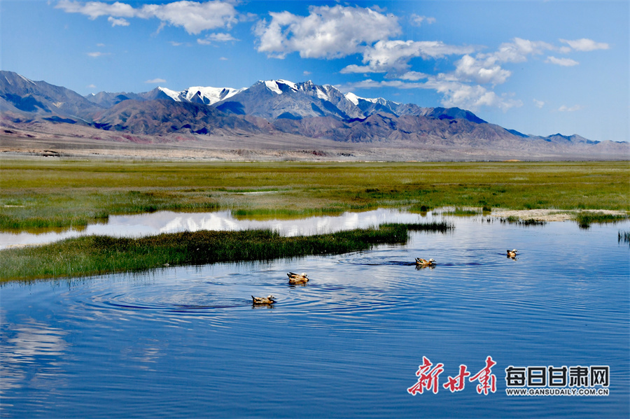 湿地湖泊如镜，倒映雪山白云，水鸟悠游，绘就盐池湾灵动生态画卷。