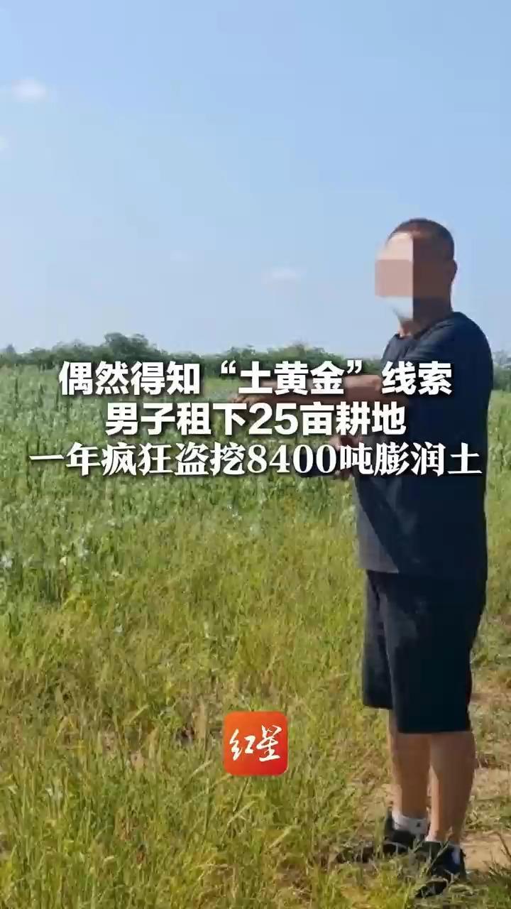 男子租下25亩耕地 一年盗挖8400吨“土黄金” 被判非法采矿罪获刑 膨润土为国家重要战略性矿产