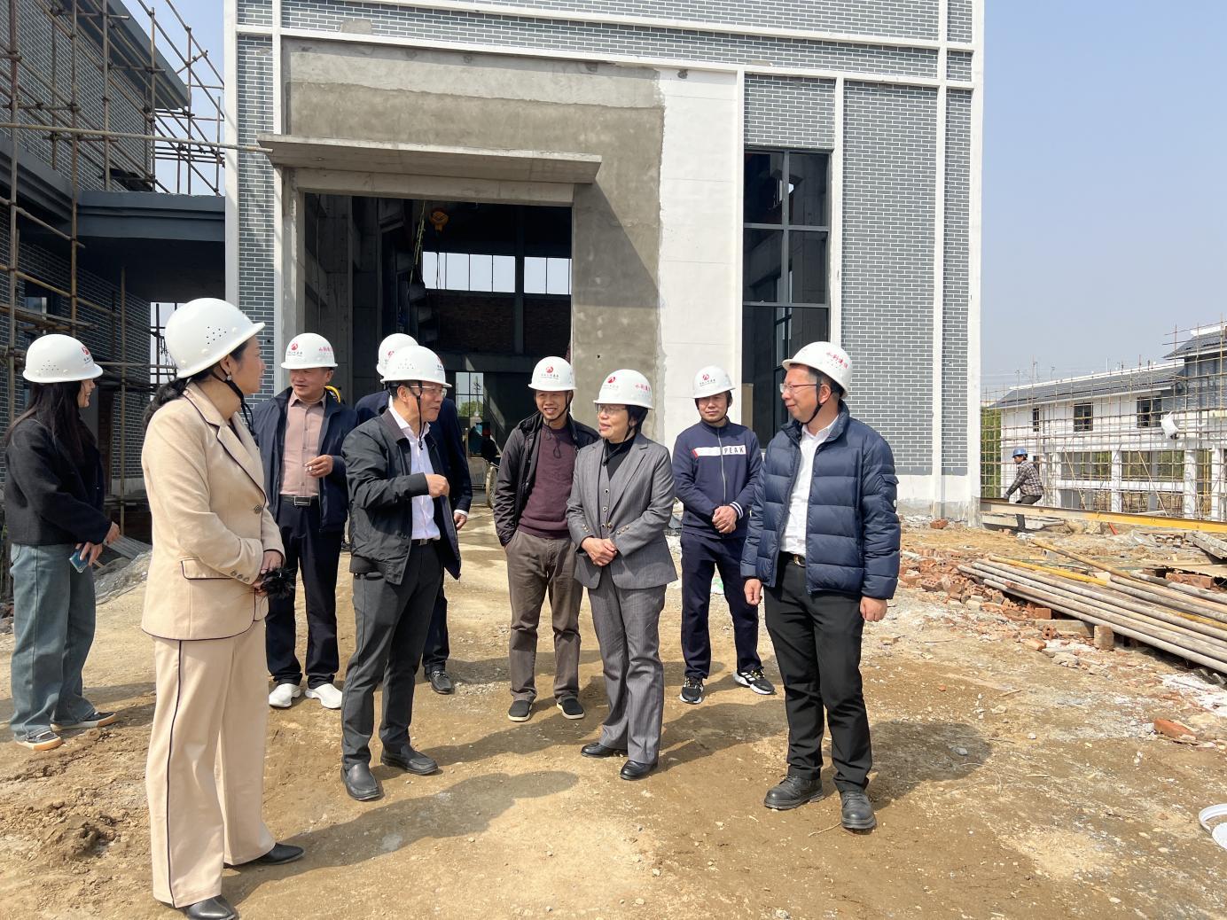 青山湖区政协主席聂玉华视察委员提案重点项目建设成果