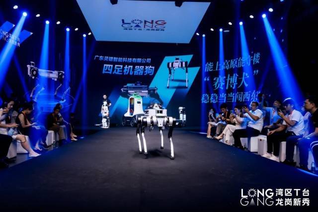 年增8.4万家企业！解读龙岗企业服务的“三字经”  企业增量全市第一！