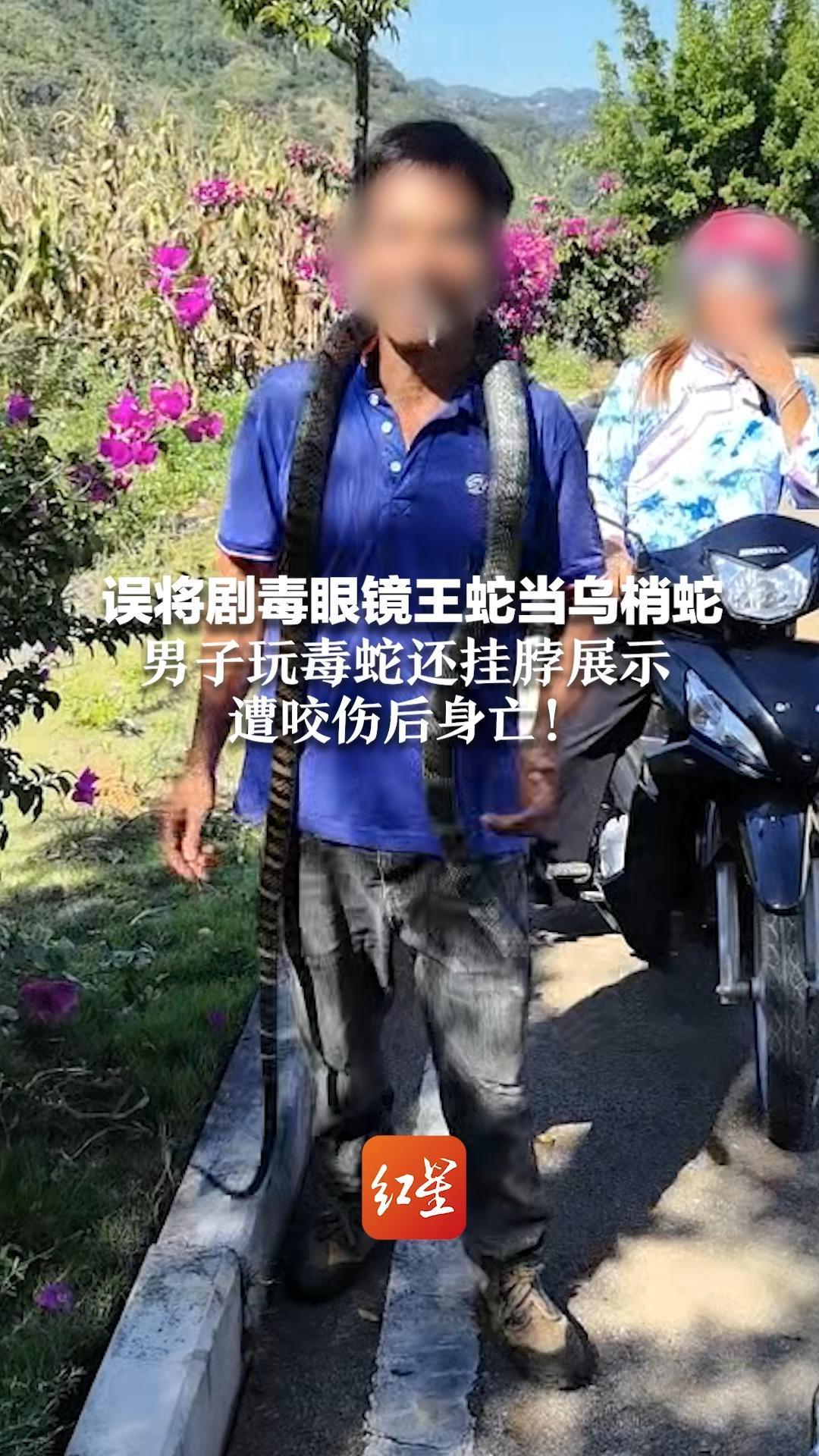 误将剧毒眼镜王蛇当乌梢蛇 男子玩毒蛇还挂脖展示 遭咬伤后身亡！当地村干部：咬伤1-2小时就去世了