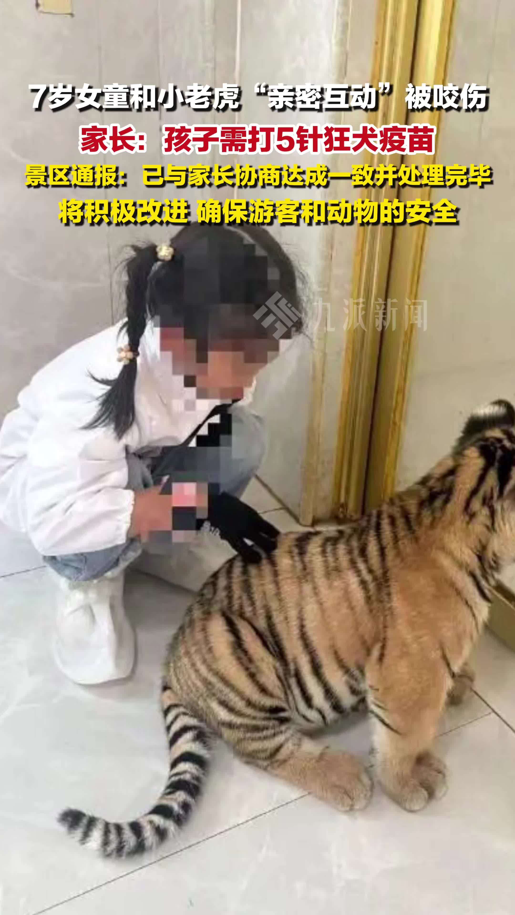 景区通报7岁女童和小老虎互动被咬伤 ：已与家长协商达成一致并妥善处理完毕