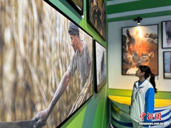 2024年9月21日，第七届敦煌文博会期间，中国—乌拉圭摄影艺术交流展同步在敦煌举行。（资料图）闫姣　摄