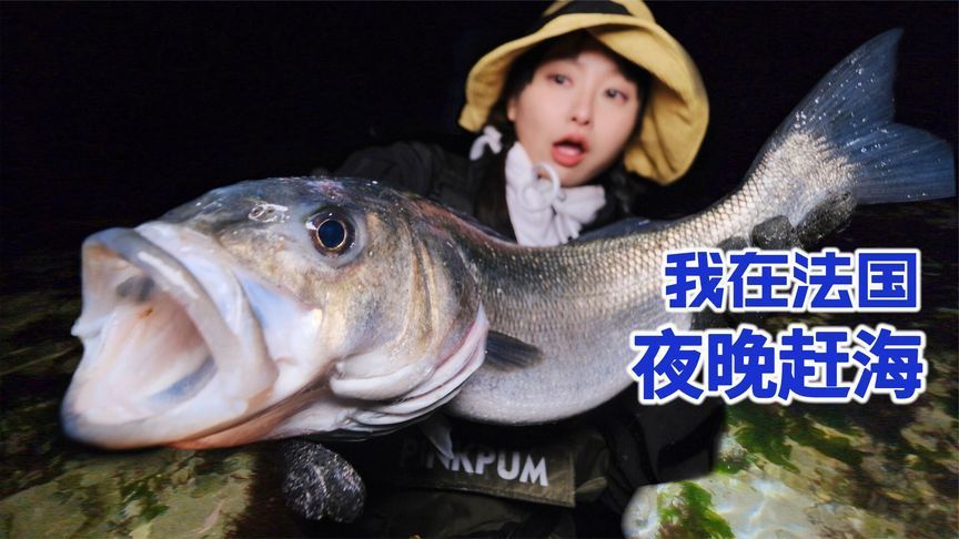 在法国夜晚赶海，一大堆海鲜轻松捡，炭火慢烤滋味香