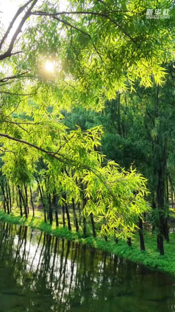 千城胜景｜河北曲阳：水光一色 绿意流淌