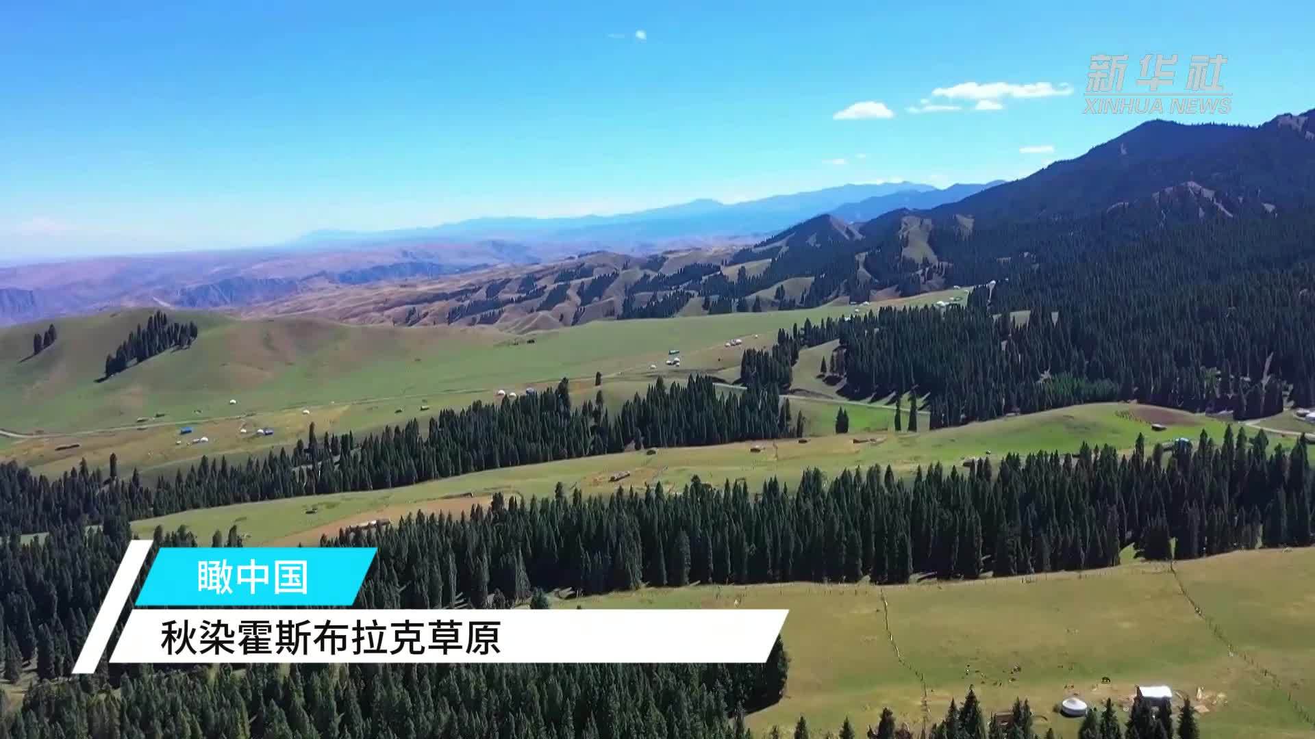 瞰中国｜秋染霍斯布拉克草原