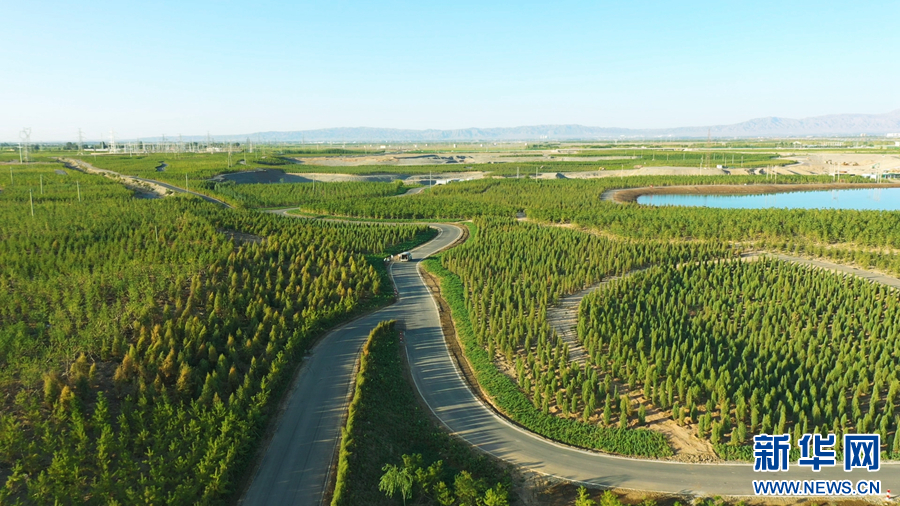 如今的黑河林场一隅(受访者供图)