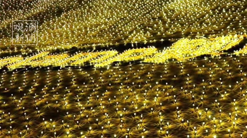 近四万盏太阳能灯点亮敦煌鸣沙山　创吉尼斯世界纪录