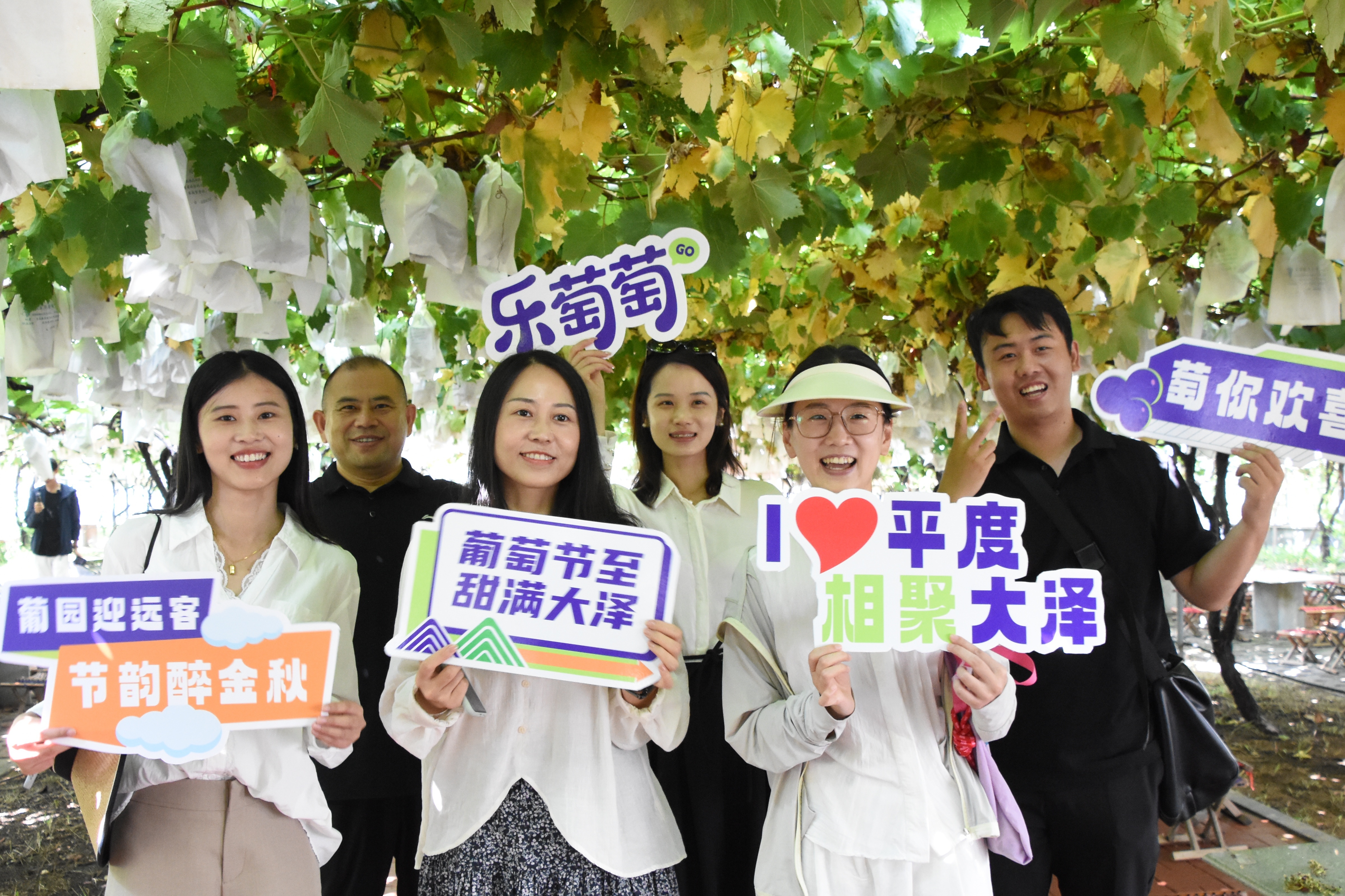 葡萄树下话振兴 ！第39届中国&middot;大泽山葡萄节将于9月6日盛大启幕