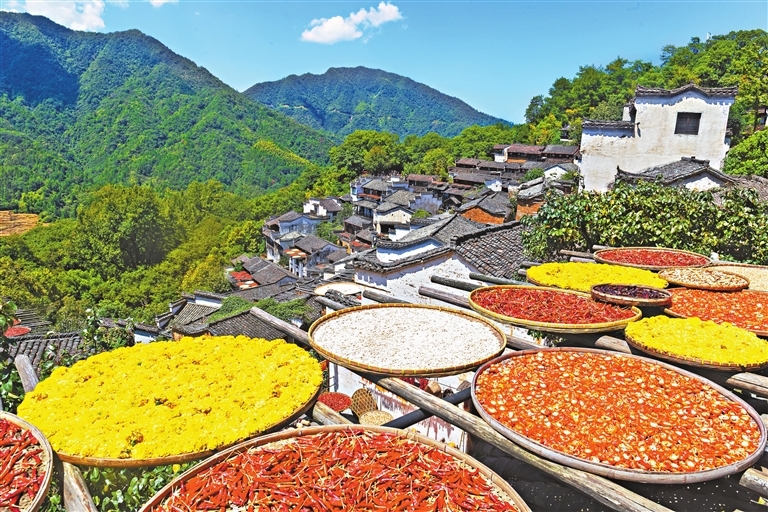 婺源县：篁岭晒秋 五彩入画（图）