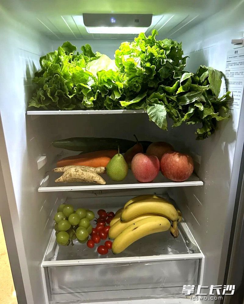 粉丝佳佳姐捐赠给金丝猴们的电冰箱。