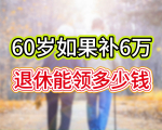 养老保险退休时能够一次性补缴吗？60岁如果补6万，能领多少钱？