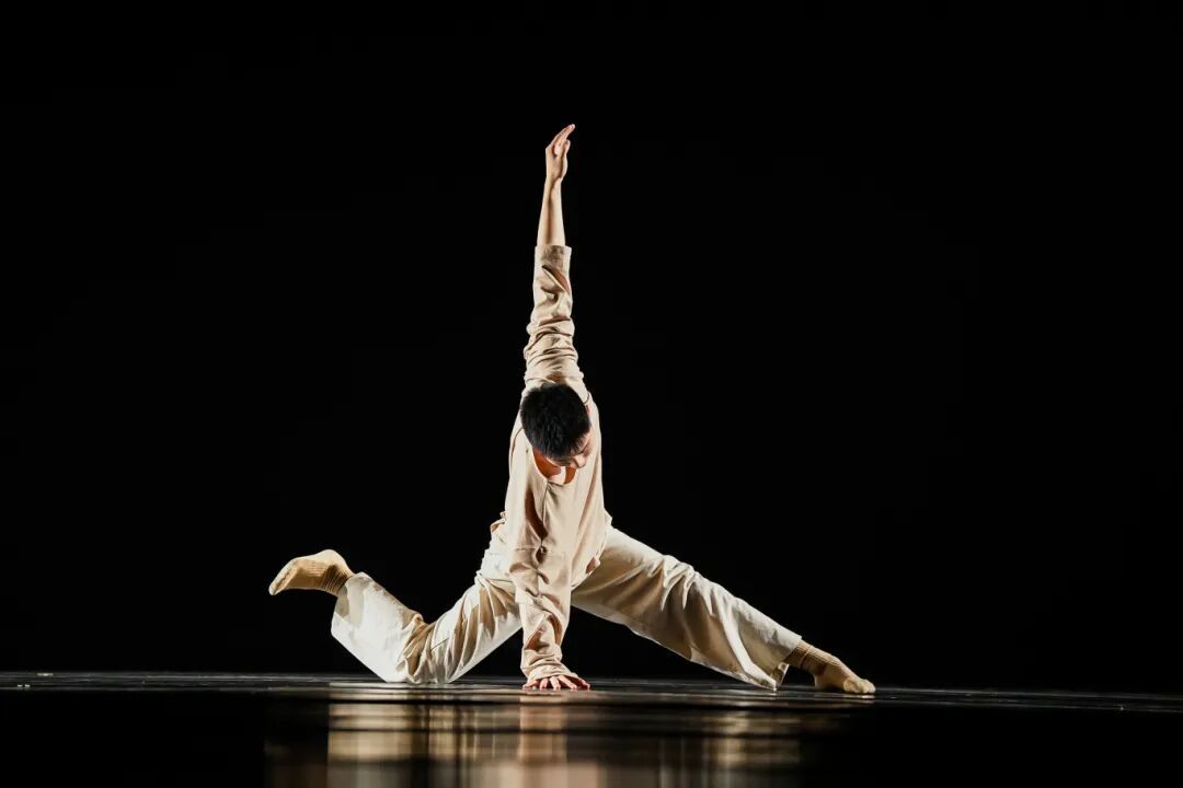 从光明走向世界！深圳当代舞团首尔夺金！