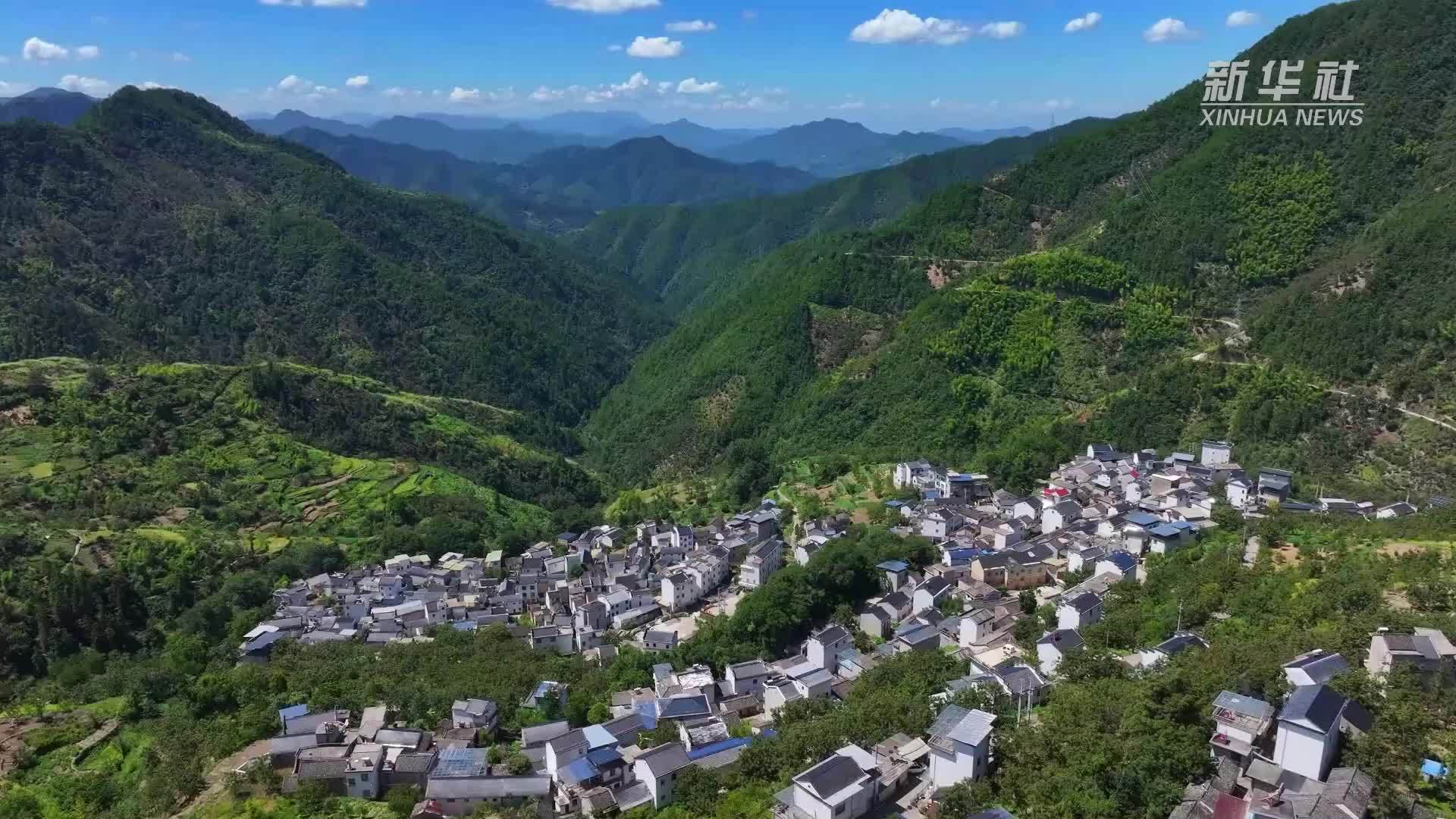 安徽歙县：金丝琥珀蜜枣飘香