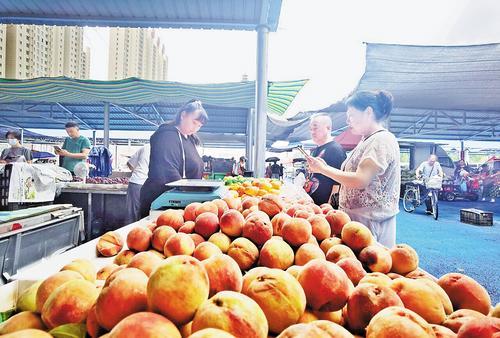 近日，市民在路南区赵庄早市选购水果。 本报记者 王育民摄