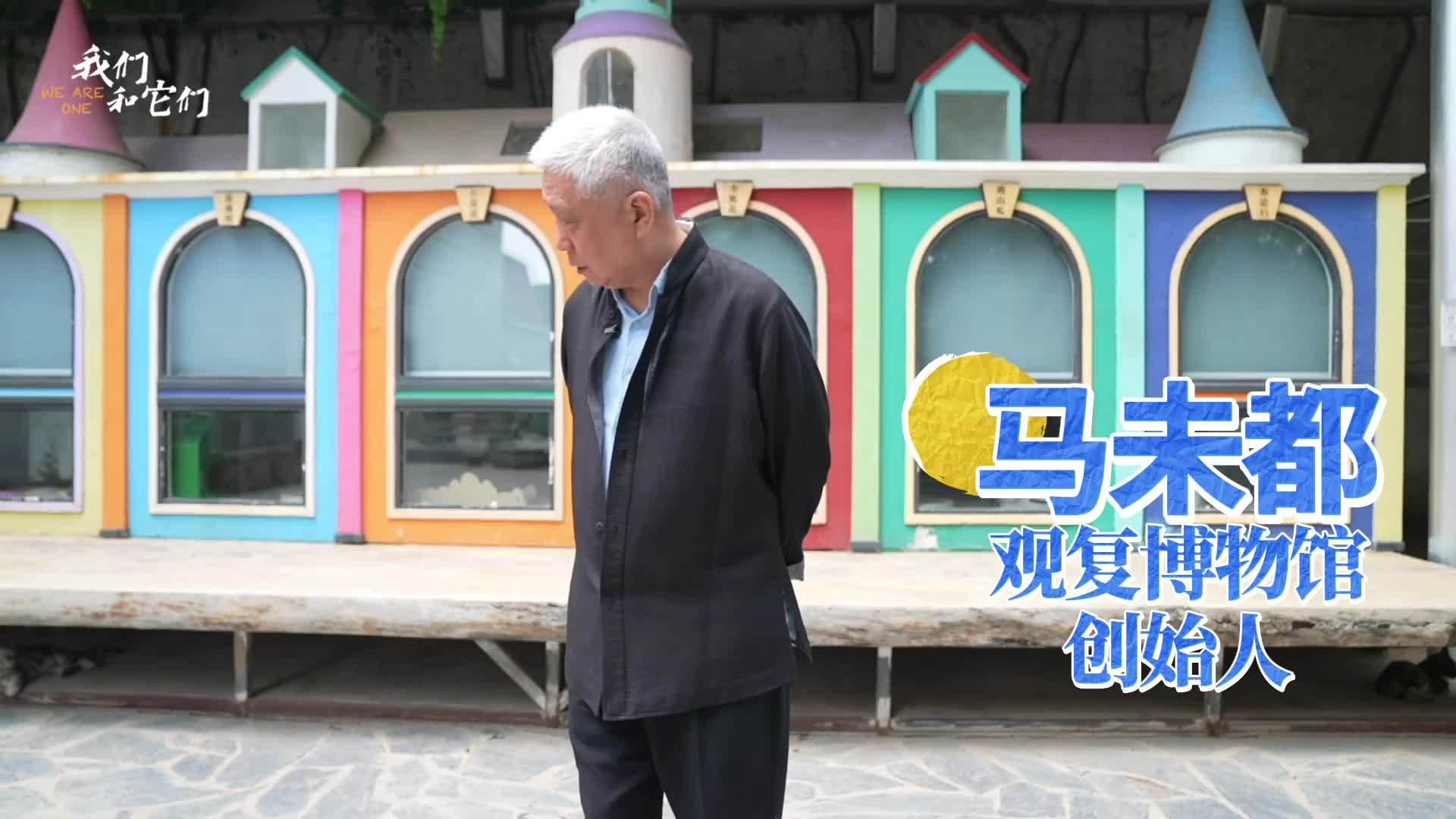 博物馆里竟藏着“猫咪养老院” 17岁元老猫享高规格养老待遇