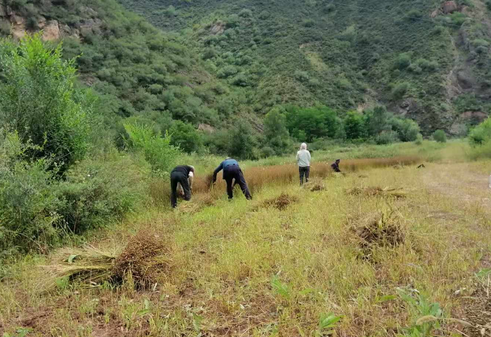 甘肃华亭巧娘妙手生“花” 出村摆摊解锁生“金”密码