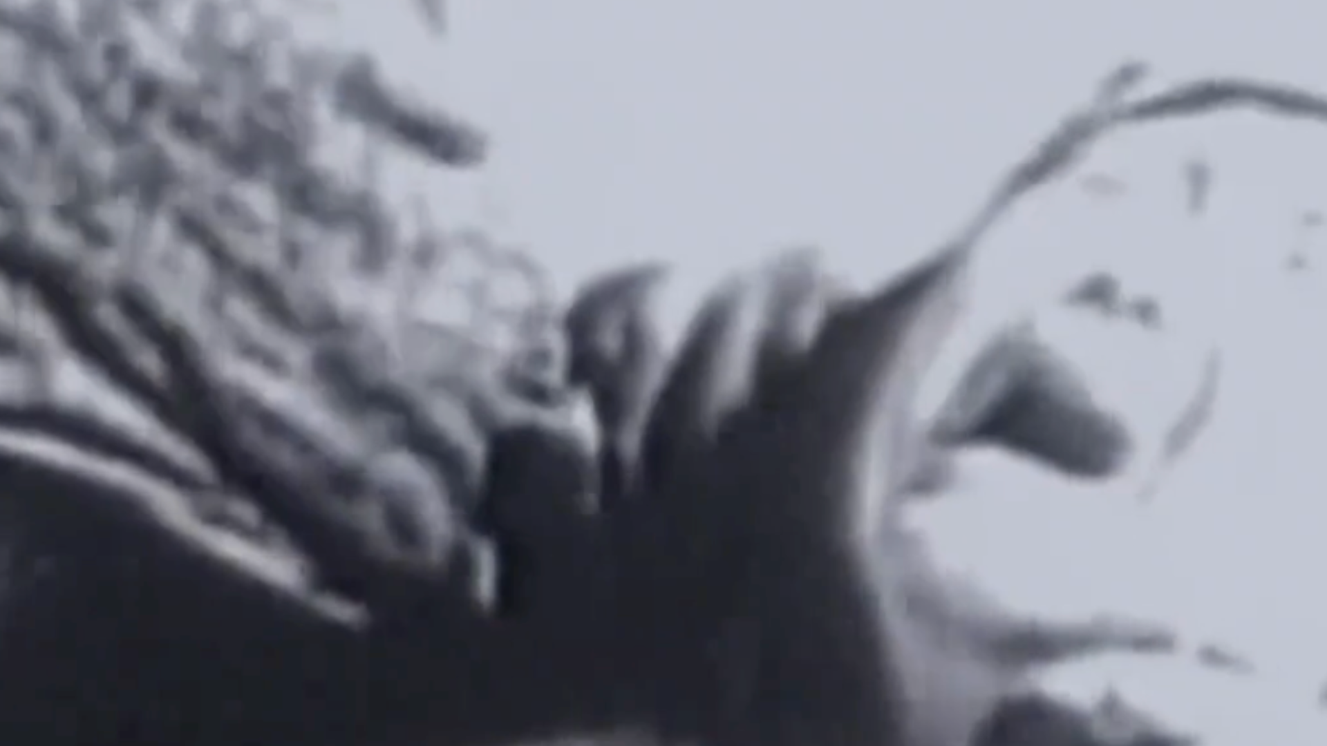 CNN发声：日本当年太残暴了