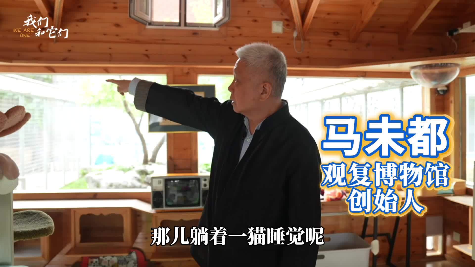 史上“最有文化”的一群猫 在博物馆里自由穿梭 躺在“文物”上乘凉