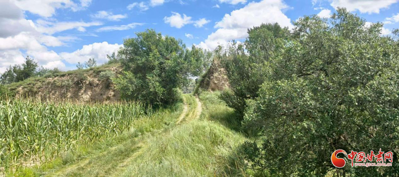 通往大顺城内城的道路