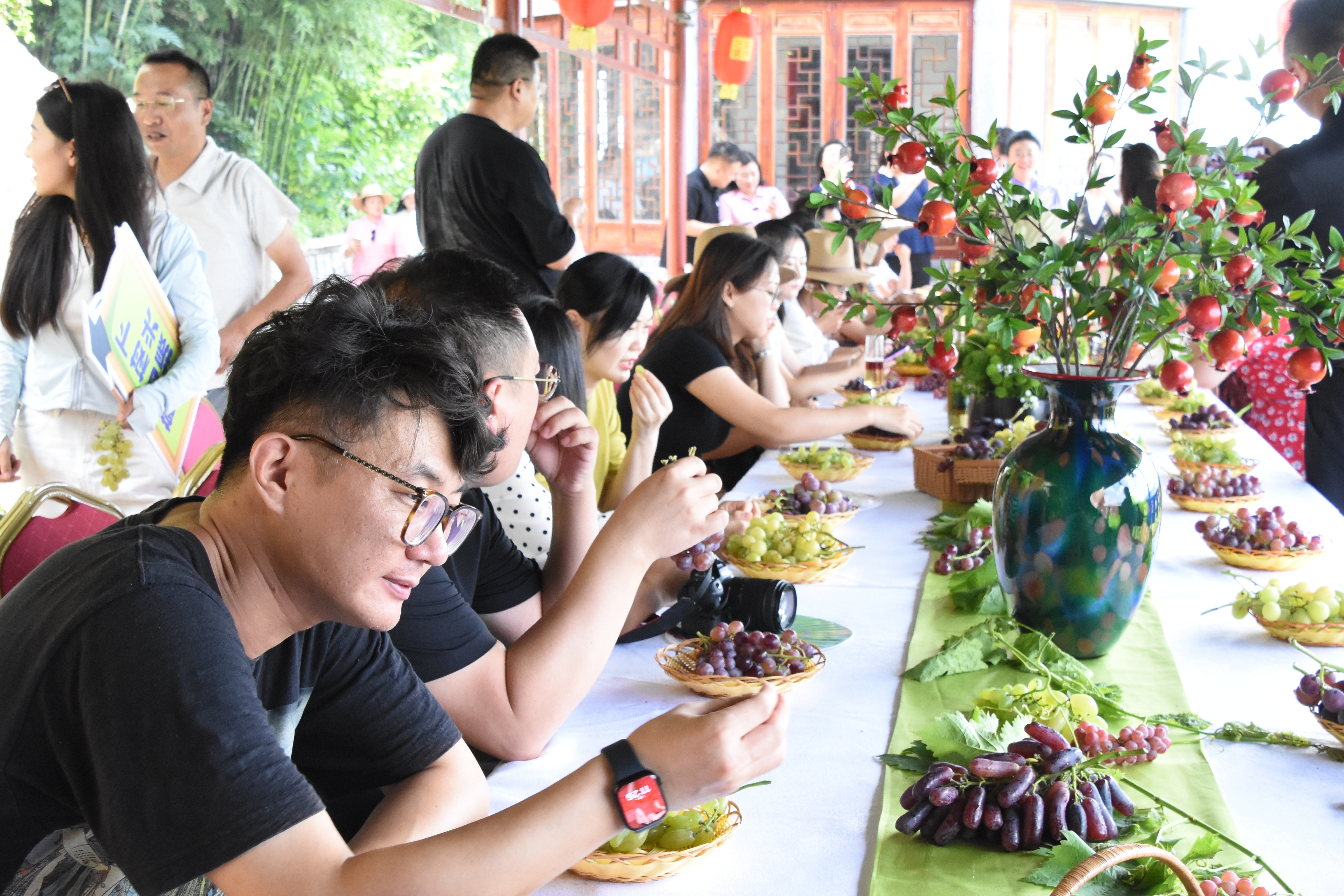 葡萄树下话振兴 ！第39届中国&middot;大泽山葡萄节将于9月6日盛大启幕