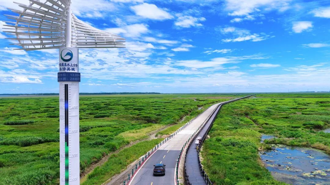 往年被湖水 “漫过” 的梦幻场景暂时下线,但公路两旁的滩涂彻底支棱起来了 —— 大片草洲像被大自然铺开的绿毯,一直连到天边,风一吹就跟着晃,活脱脱一条 “草原公路”。