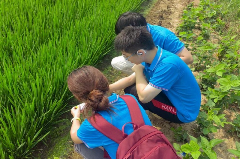 点击查看原始图片