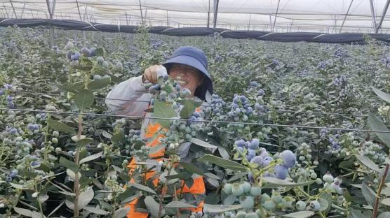 恒丰银行深圳分行:金融为民守初心 责任担当暖民生